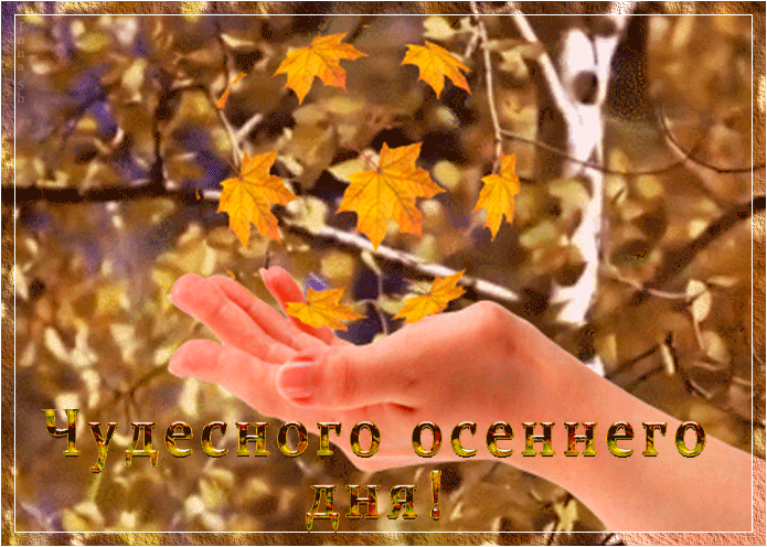 Анимированная картинка Чудесного осеннего дня!