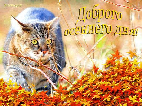 Гифка Доброго осеннего дня!