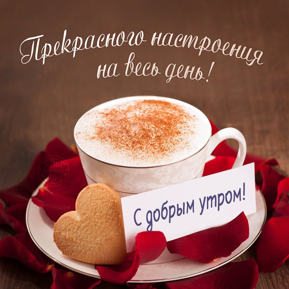 Пожелания с добрым утром для любимой картинки и открытки. Необычные красивые открытки с добрым утром Пожелания с добрым утром для любимой картинки и открытки. Необычные красивые открытки с добрым утром
