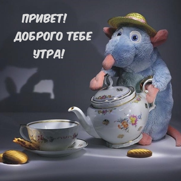 Необычная и креативная открытка с пожеланием доброго утра! Необычные красивые открытки с добрым утром Необычная и креативная открытка с пожеланием доброго утра! Необычные красивые открытки с добрым утром