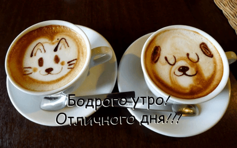 Забавная гифка бодрого утра и отличного дня! Доброе утро картинки красивые женщине мерцающие