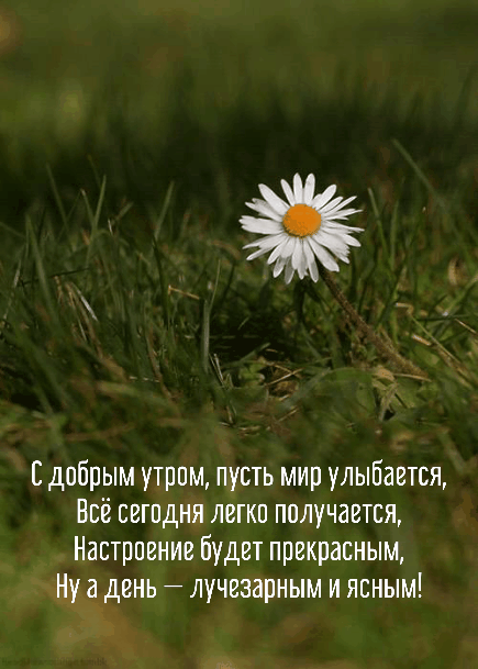 Открытка с добрым утром, пусть мир улыбнётся!