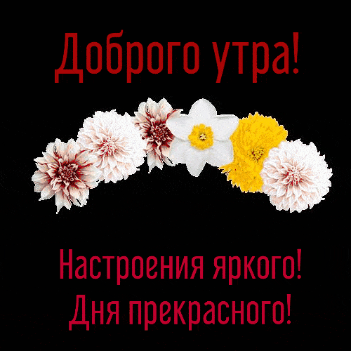 Анимационная открытка с цветами! Доброго утра, настроения яркого, дня прекрасного!