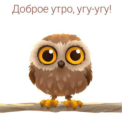 Прикольная gof картинка доброго утра с совой! Прикольная gof картинка доброго утра с совой!