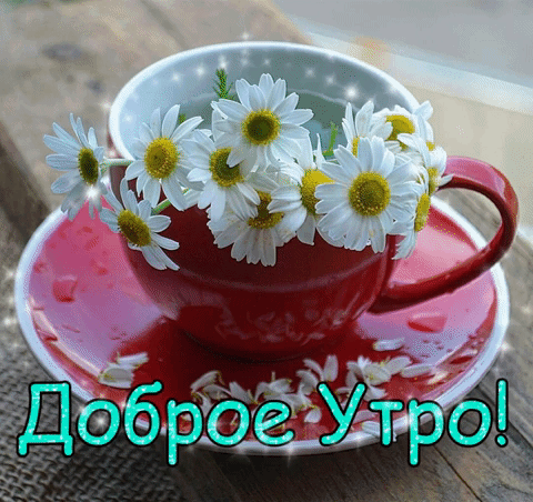 Блестящая и мерцающая открытка доброе утро с ромашками для ватсап! Блестящая и мерцающая открытка доброе утро с ромашками для ватсап!
