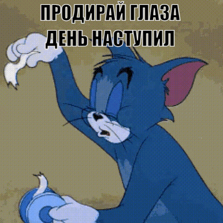 Очень смешная гифка с добрым утром для ватсап! Продирай глаза день уже наступил! Очень смешная гифка с добрым утром для ватсап! Продирай глаза день уже наступил!
