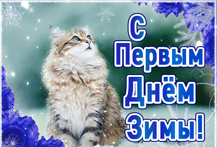Классная мигающая гифка кратинка С первым днём зимы