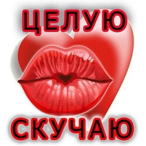 Картинка стикер Люблю целую скучаю обожаю