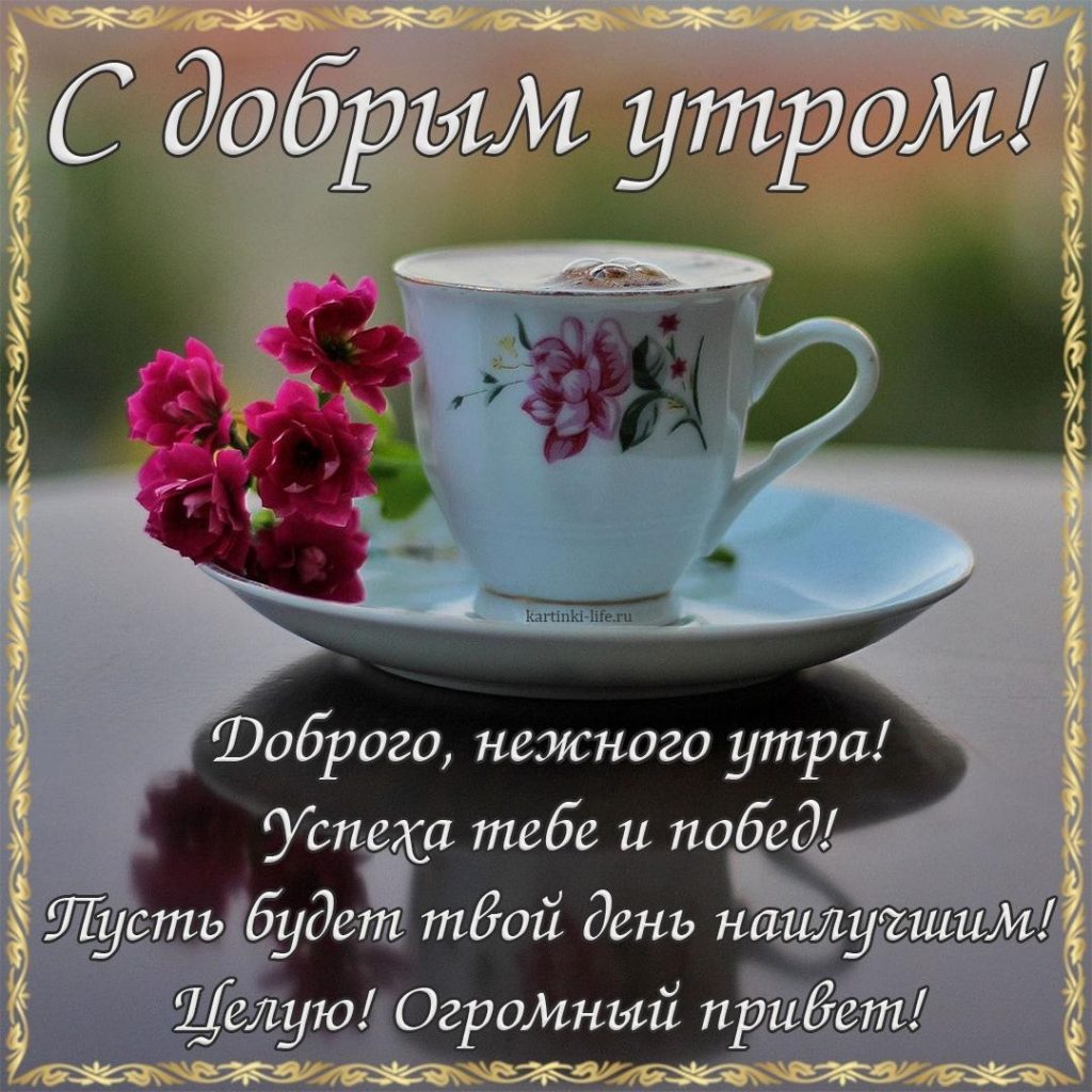 Красивые нежные картинки доброе утро.