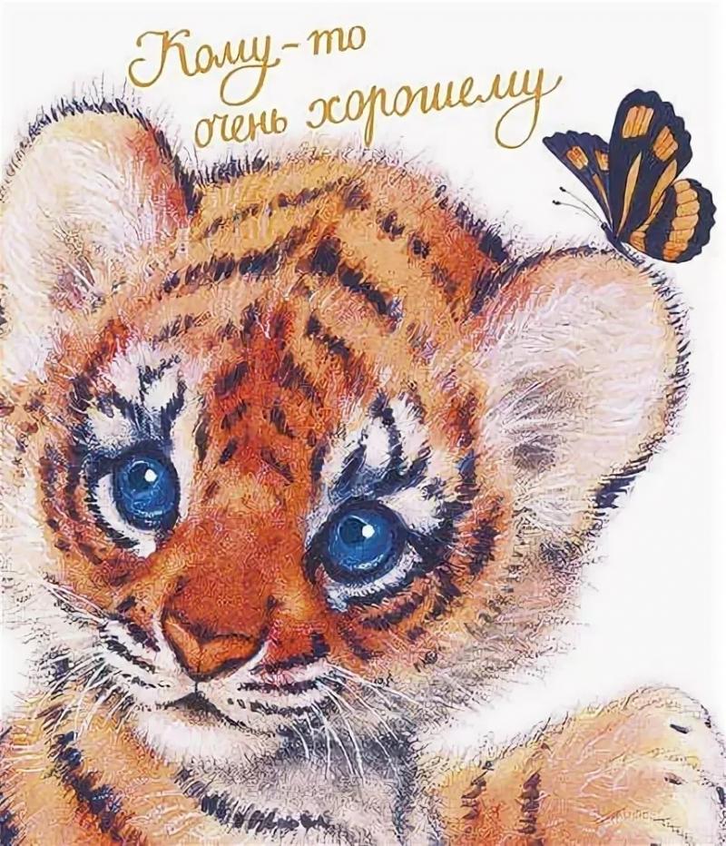 Тигрёнок, поздравляю с Днём Рождения!