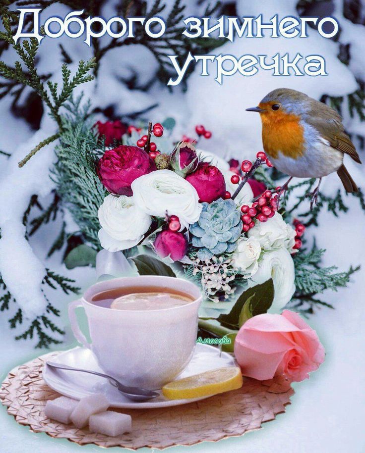  Доброе Воскресное зимнее утро