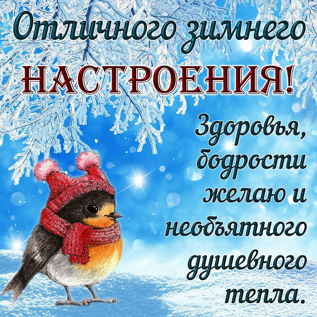 Хорошего зимнего дня и отличного настроения