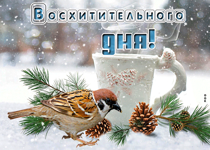 Красивая анимационная Открытка восхитительного зимнего дня