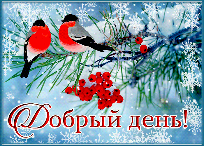 Анимация Превосходная открытка добрый день