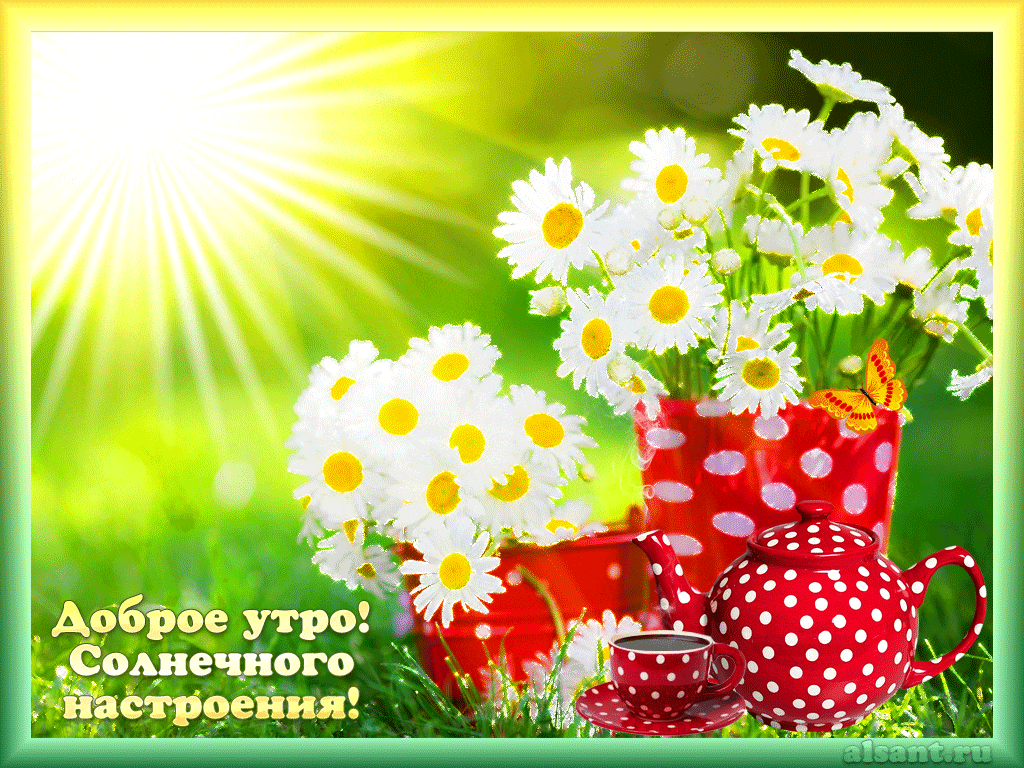 Гифки и картинки, доброго летнего утра и хорошего дня.