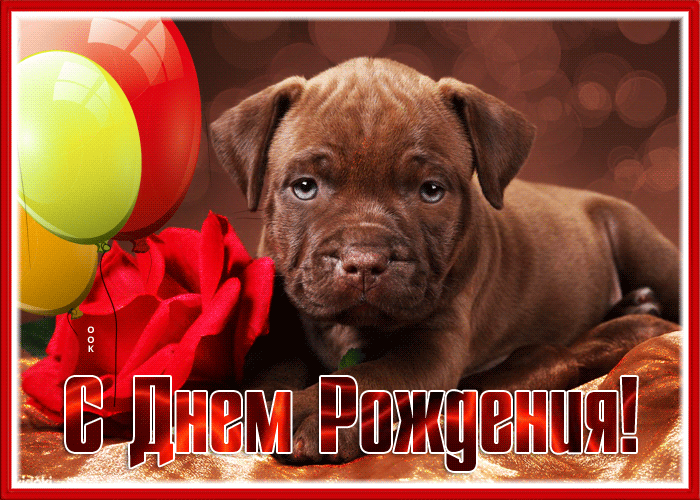 Прекрасная открытка с днём рождения мужчине с собакой!