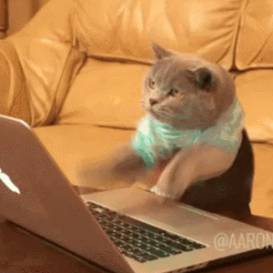 Смешная gif анимация котик печатает на клавиатуре