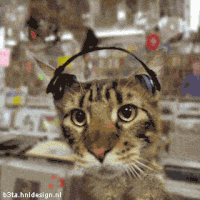 угарная анимация котик в наушниках