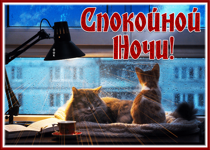 Блестящая открытка спокойной ночи с котиками Блестящая открытка спокойной ночи с котиками