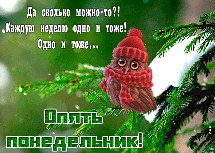 Милая зимняя картинка с добрым утром понедельника!