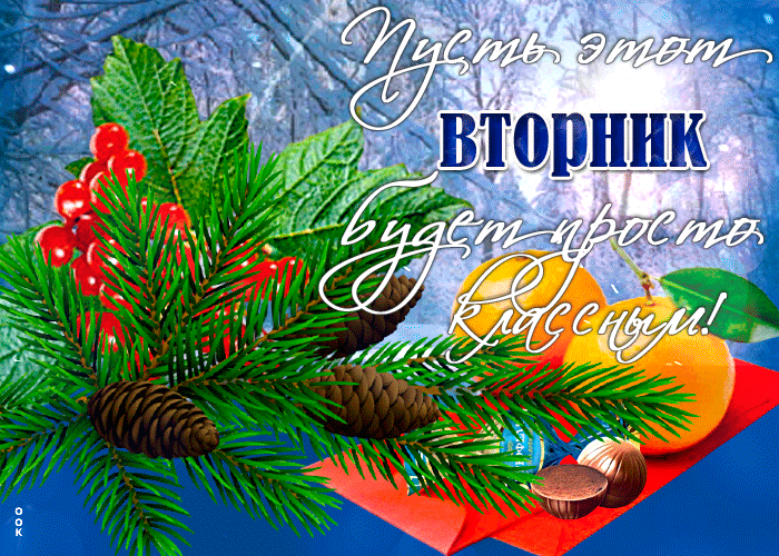 Открытка классного зимнего вторника Открытка классного зимнего вторника
