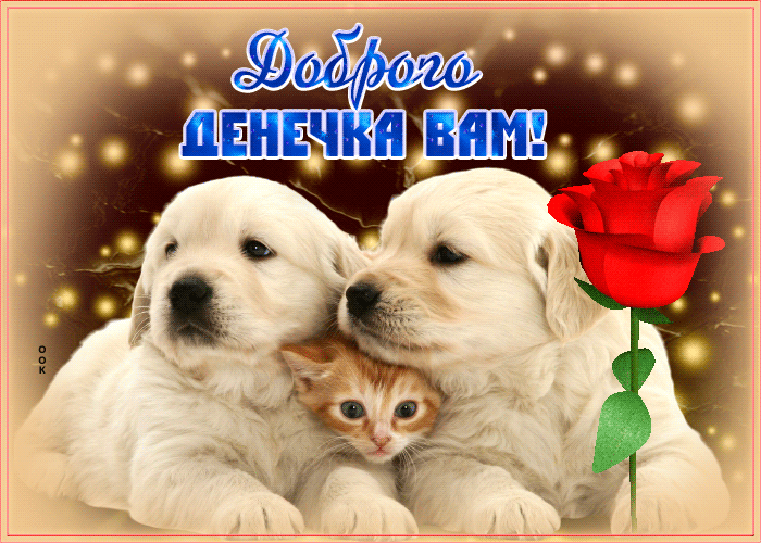 Необычная открытка с песиками и котом