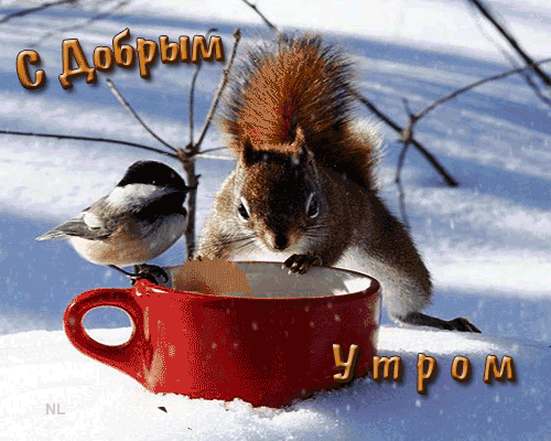 Анимация Доброе зимнее утро, Белочка и птичка воркуют над бельчонком в красной кружке на снегу