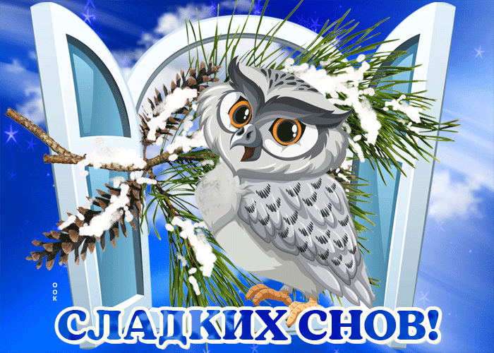 Зимняя картинка сладких снов с совой Зимняя картинка сладких снов с совой