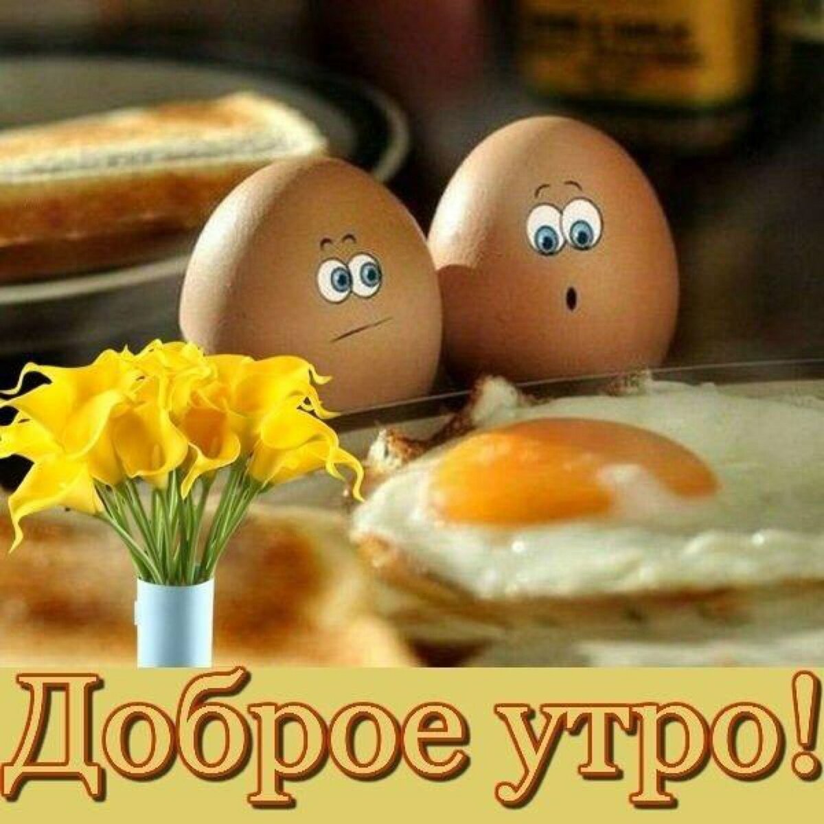Открыточки прикольные с добрым утром с юмором