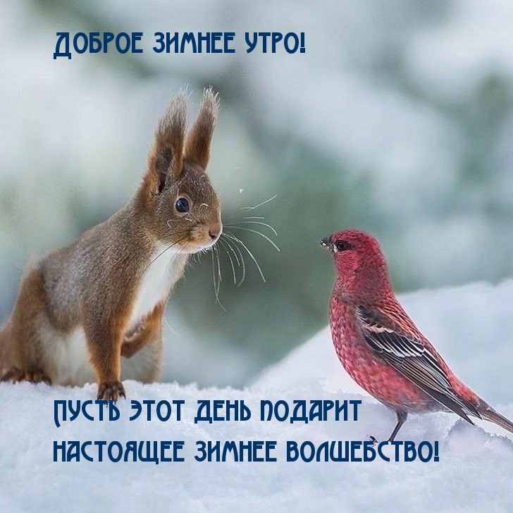 Картинка доброе зимнее утро! Пусть этот день подарит настоящие зимнее волшебство!