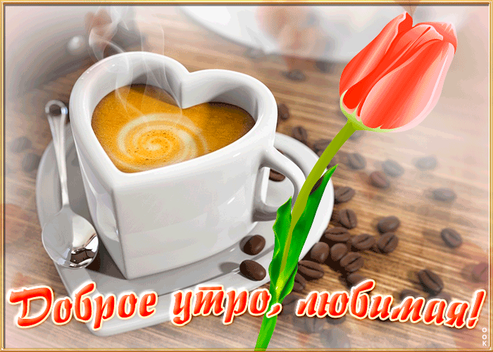 Красивая Открытка с добрым утром любимой женщине с тюльпаном и кофе! Красивая Открытка с добрым утром любимой женщине с тюльпаном и кофе!