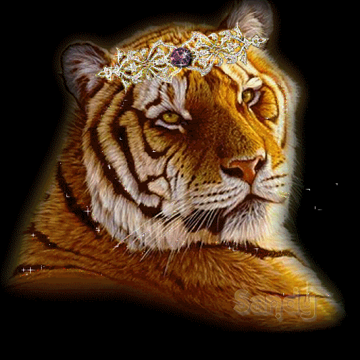 На этой анимированной гифке: тигр, tigre, le tigre, Тигр с короной