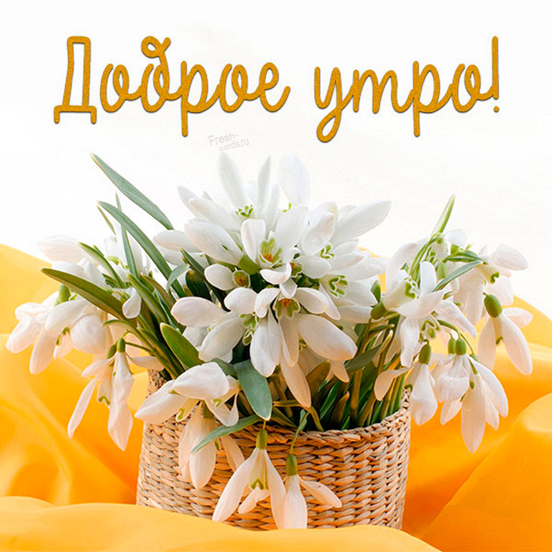 Красивая картинка с букетом цветов и пожеланием доброго весеннего утра!