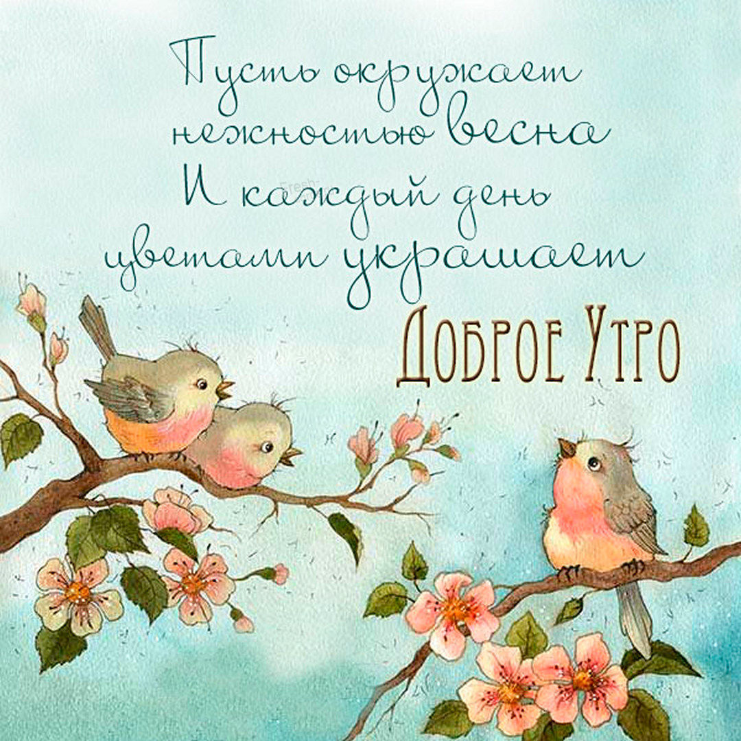 Пусть окружает нежностью весна и каждый день цветами украшает утро!