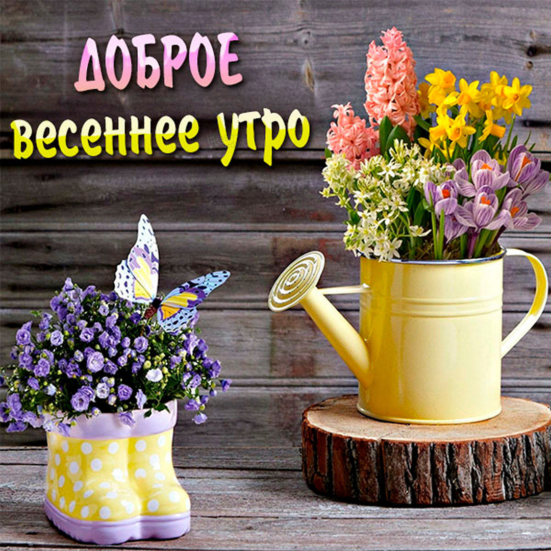 Картинка доброе весеннее утро с цветами и бабочками!