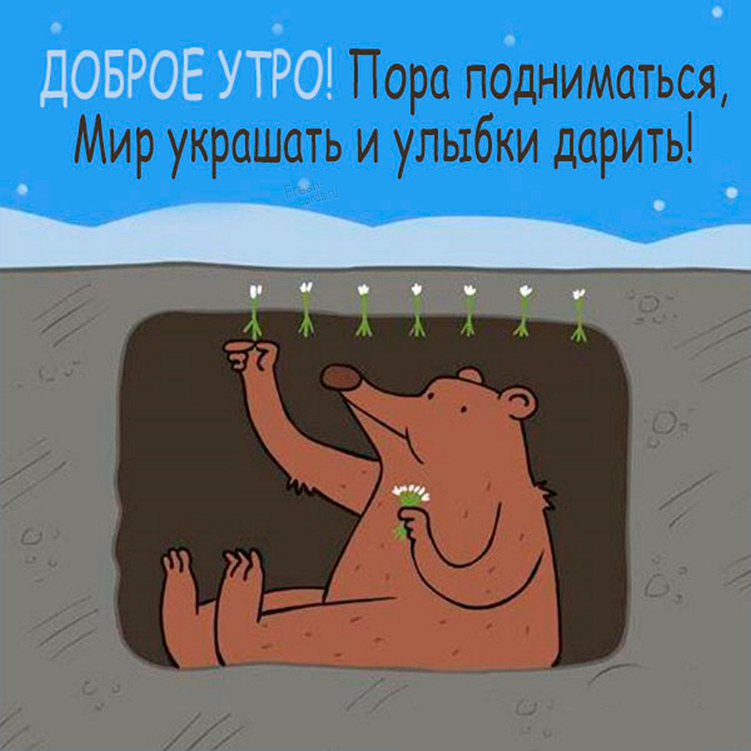 Смешная картинка с наступающим весенним утром! Пора подниматься, мир украшать и улыбки дарить!