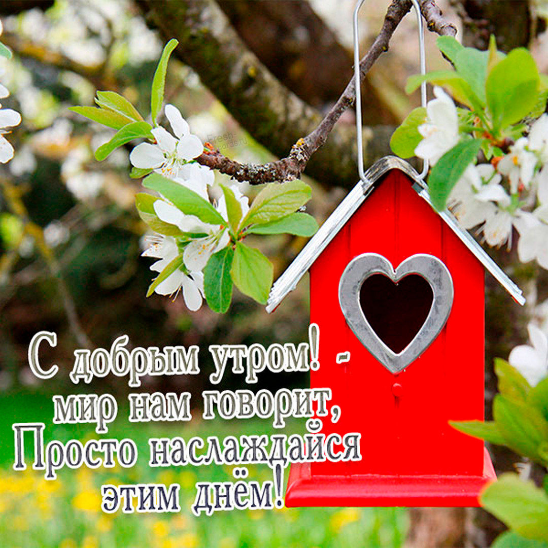 С добрым утром! Мир на говорит - просто наслаждайся этим днём!