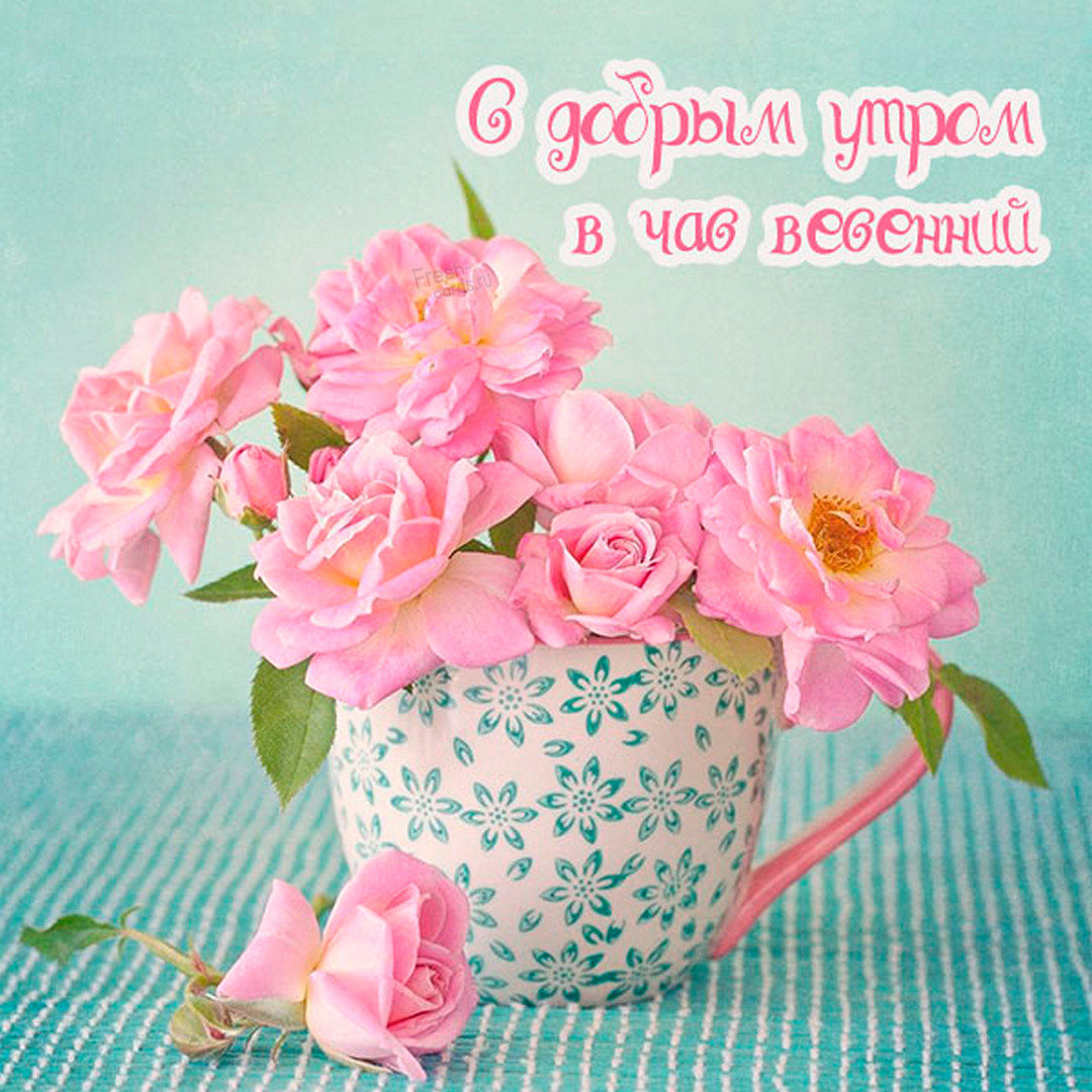 Красивая, нежная картинка с цветами и пожеланием доброго утра в час весенний!