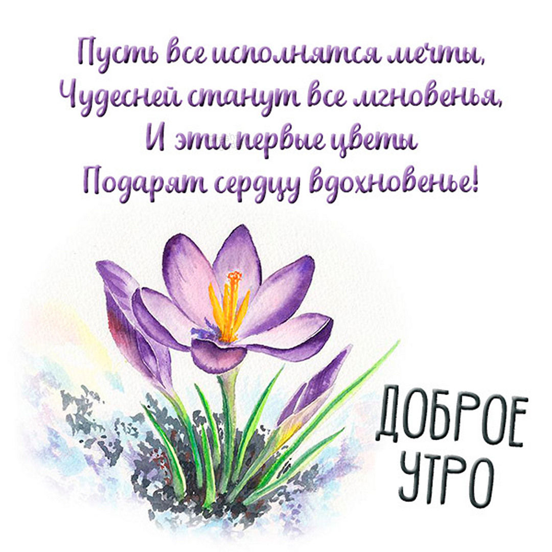 Пусть все исполнятся мечты, чудесней станут все мгновенья, и эти первые цветы подарят сердцу вдохновенье!