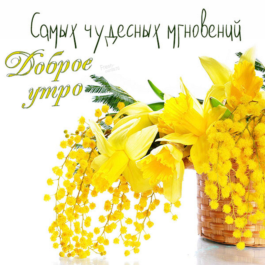 Самых чудесных мгновений, доброе утро этой чудесной Весной!