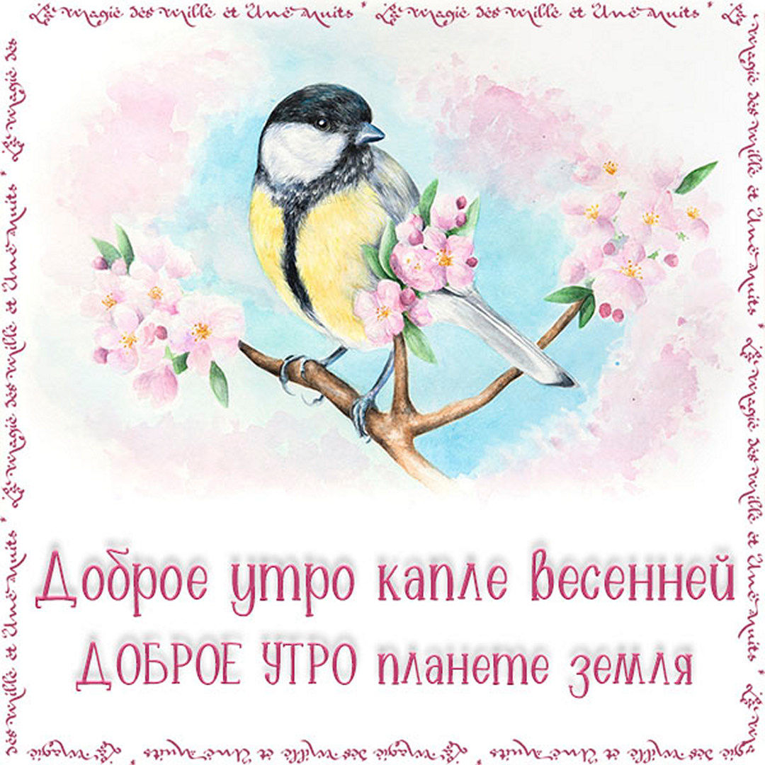 Доброе утро капле весенней, доброе утро планете Земля!