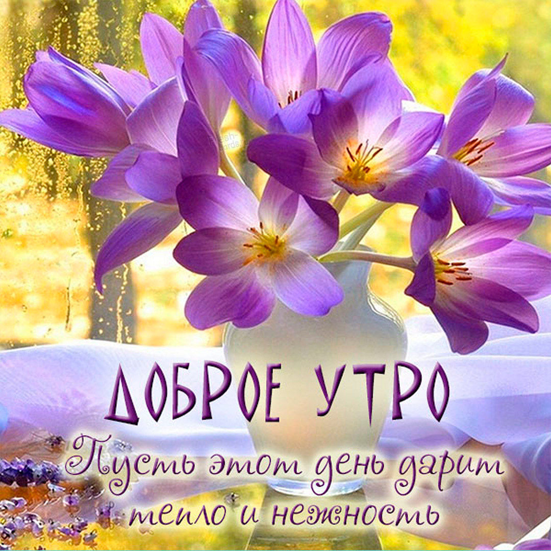 Весенние цветы, пусть этот день дарит тепло и нежность!