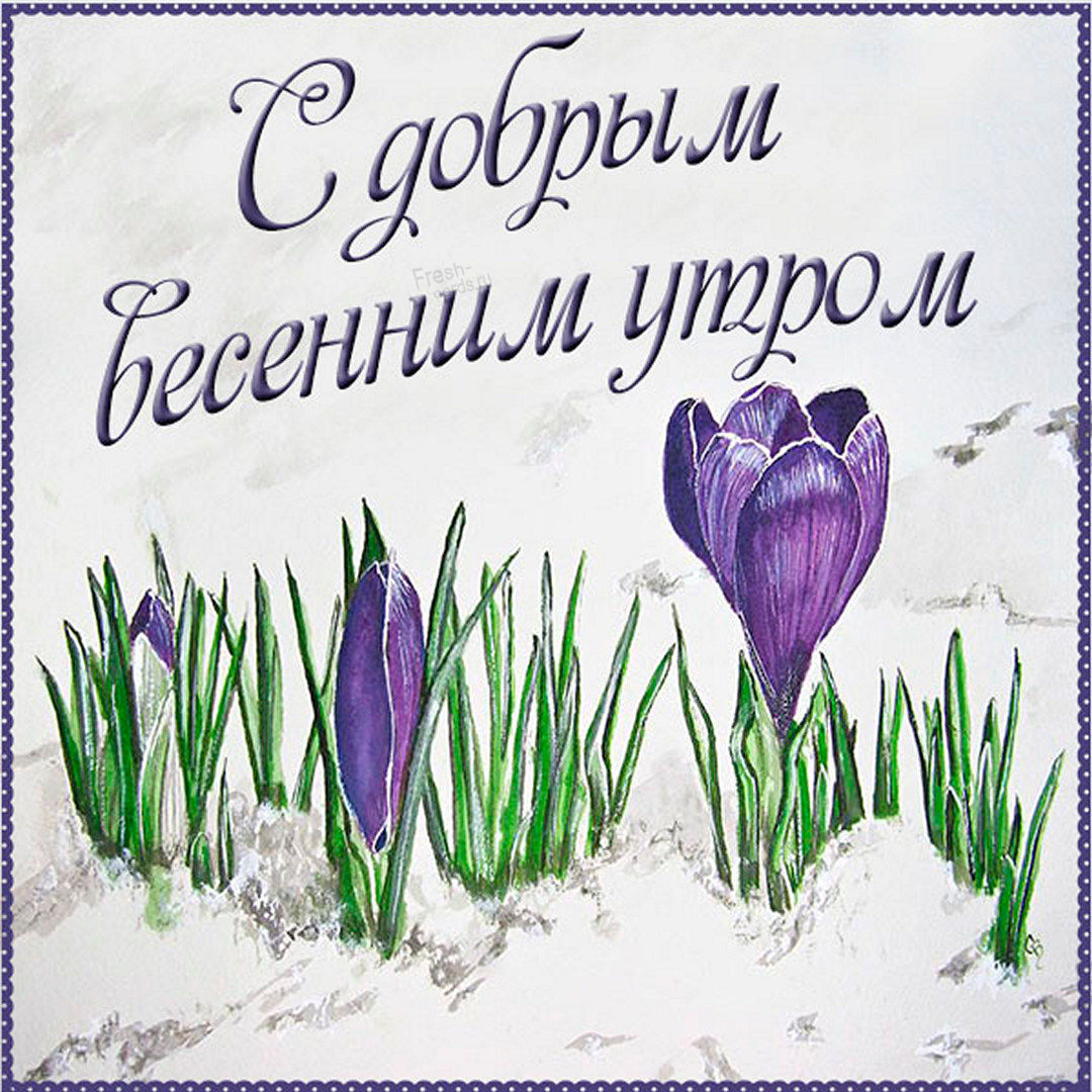 Картинка с подснежником и пожеланием доброго весеннего утра!