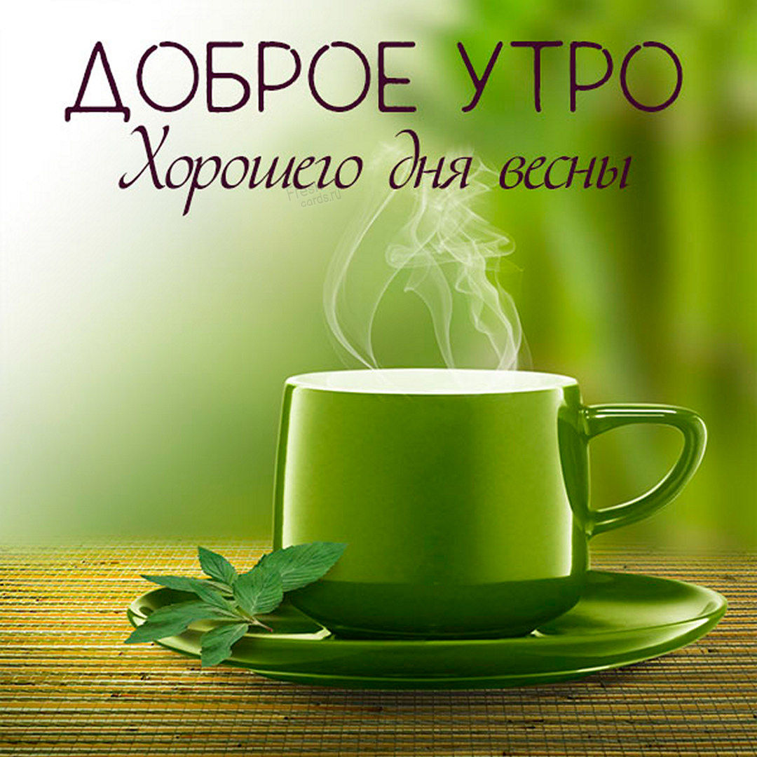 Доброе утро, хорошего дня Весны!
