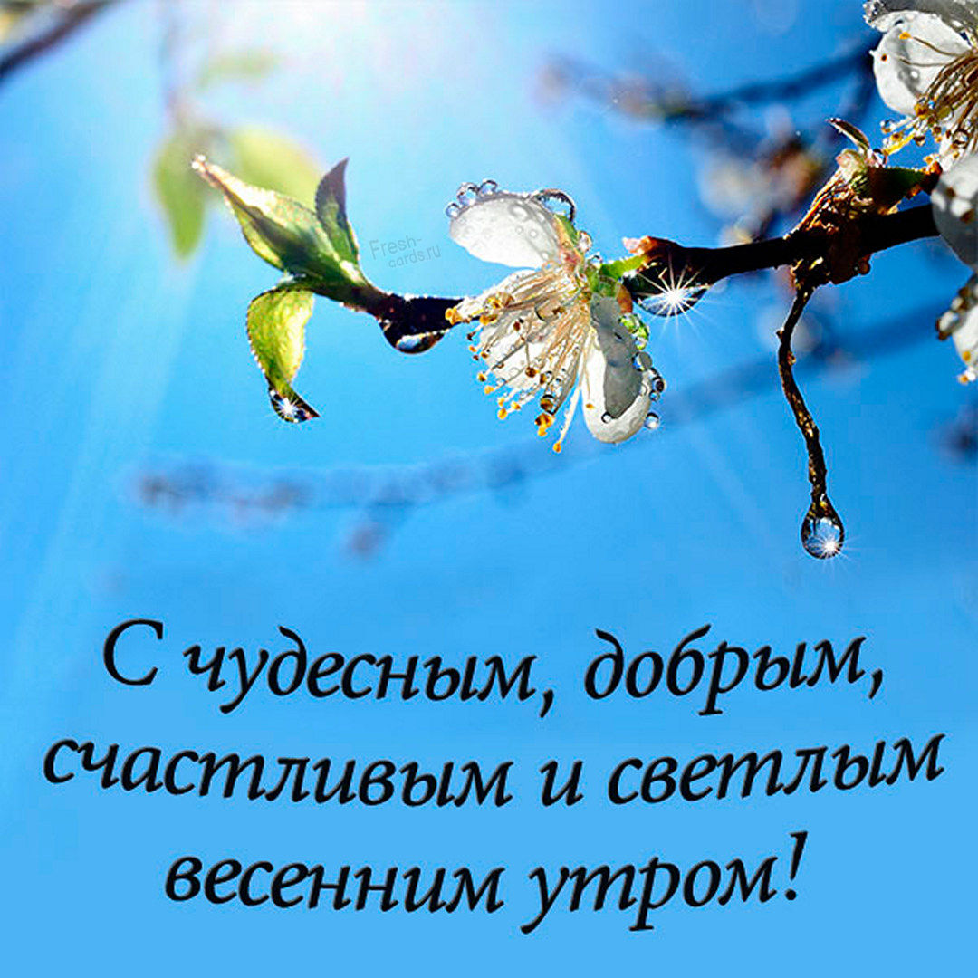 С чудесным, добрым, счастливым и светлым весенним утром!