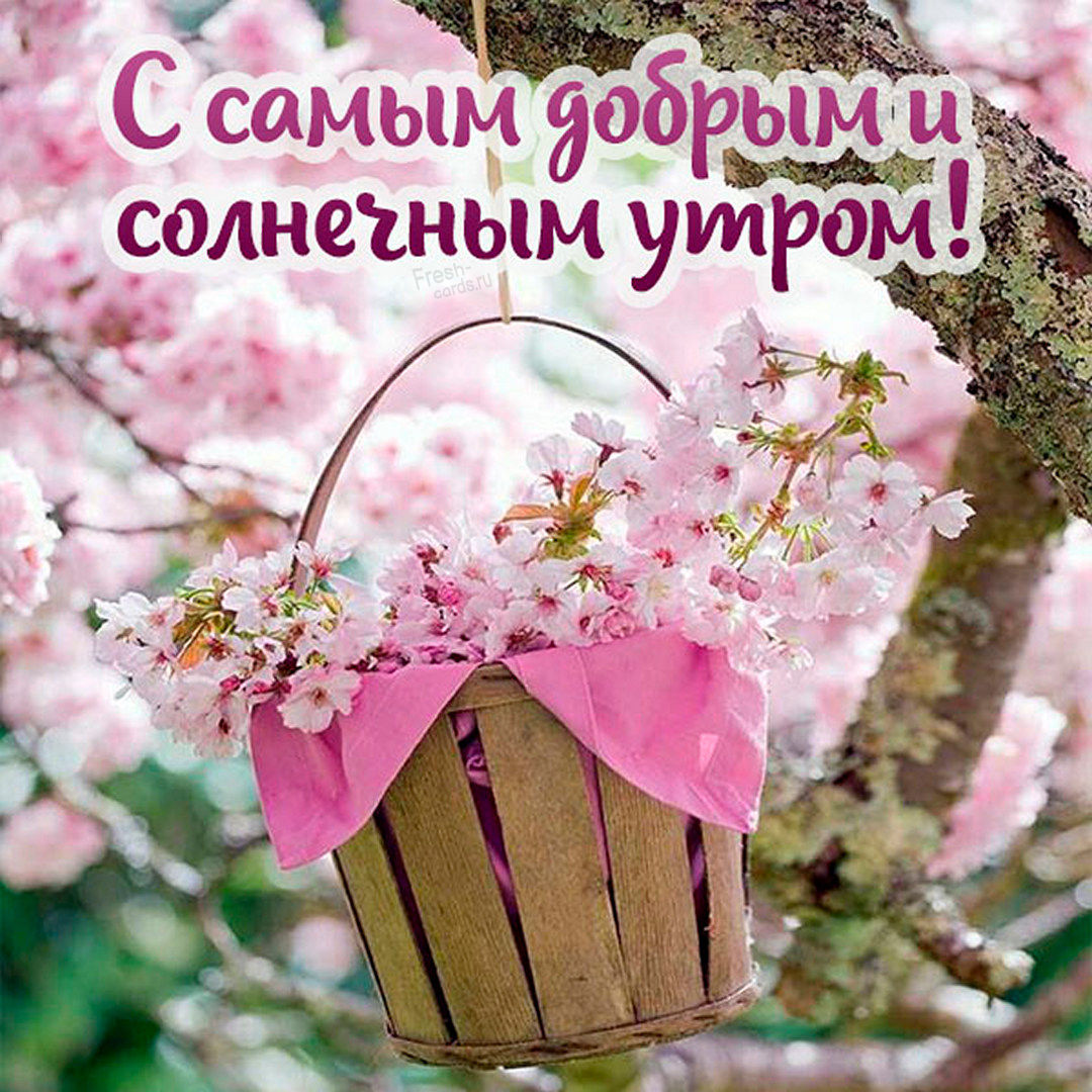 С самым добрым и солнечным утром!