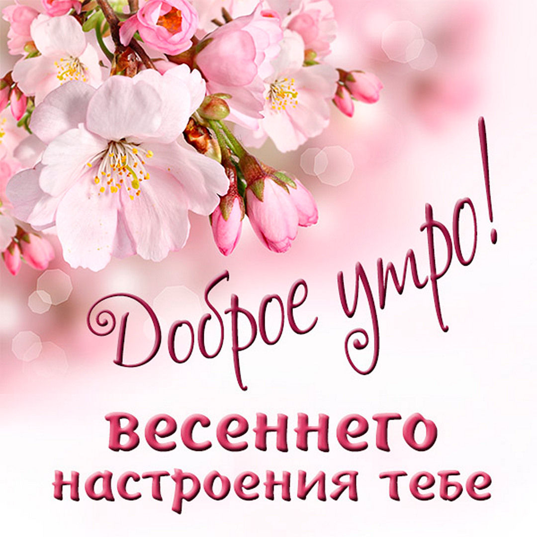 Доброе утро, весеннего настроения!