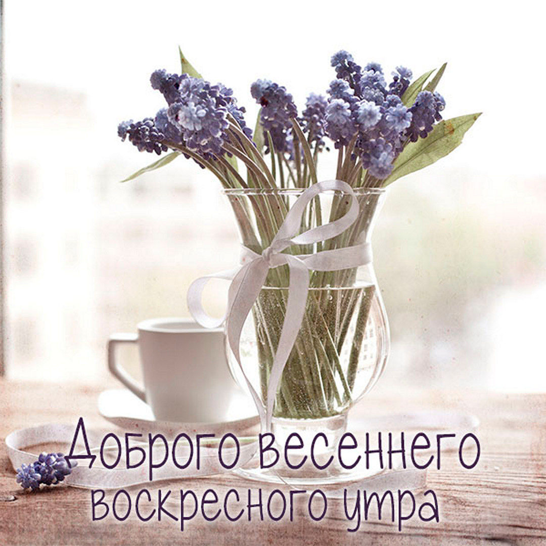 Доброго весеннего воскресного утра!