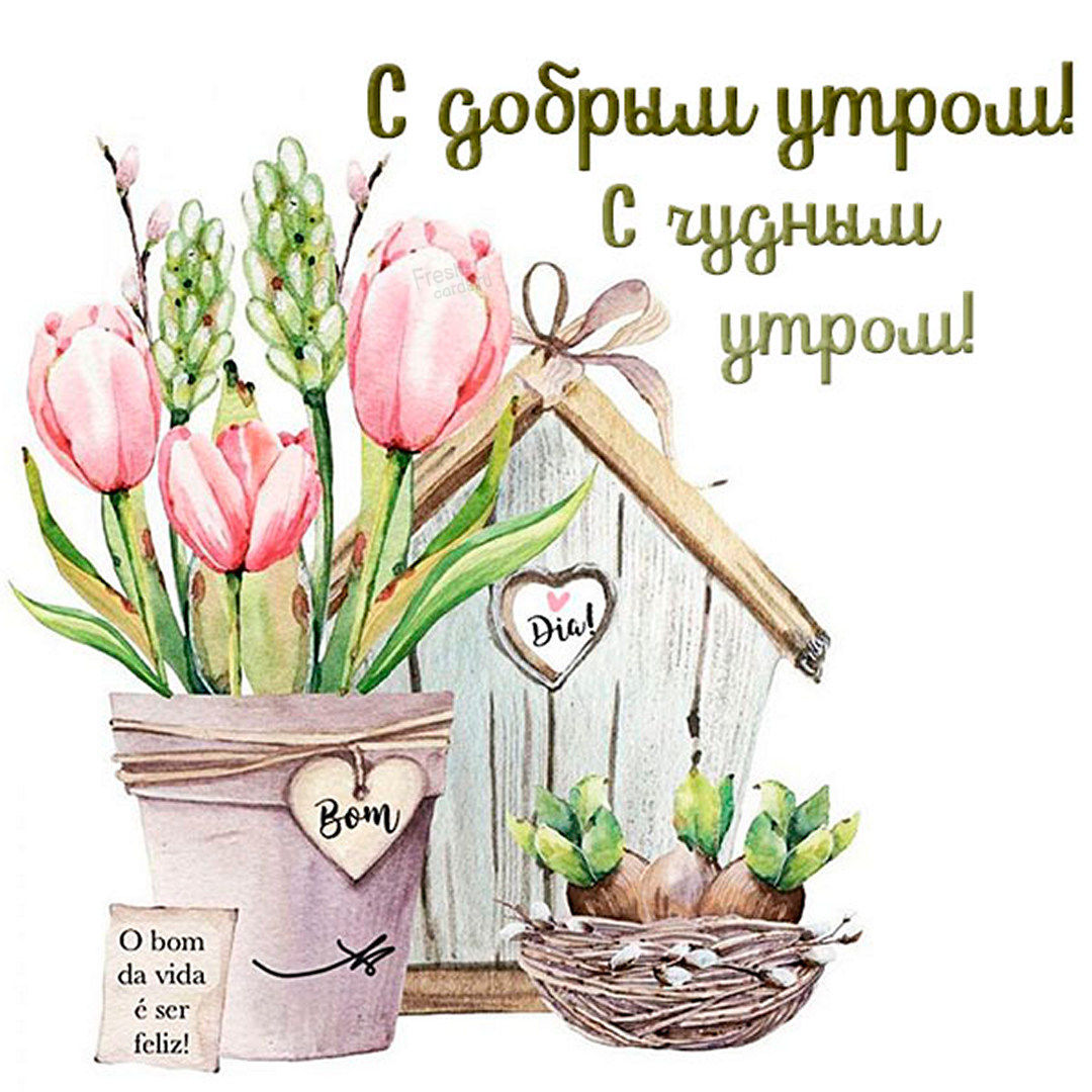 С добрым и чудесным утром!