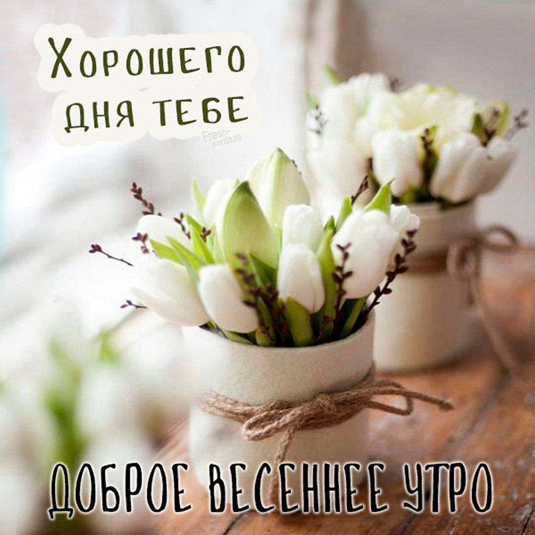 Доброе весеннее утро, хорошего дня тебе!
